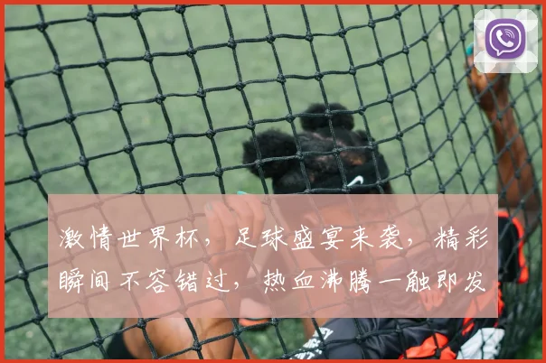 激情世界杯，足球盛宴来袭，精彩瞬间不容错过，热血沸腾一触即发